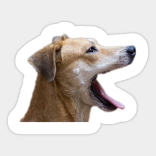 dog Sticker